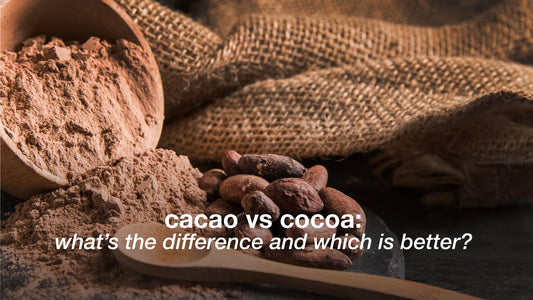 Cacao beans and cocoa powder showing differences in processing and appearance