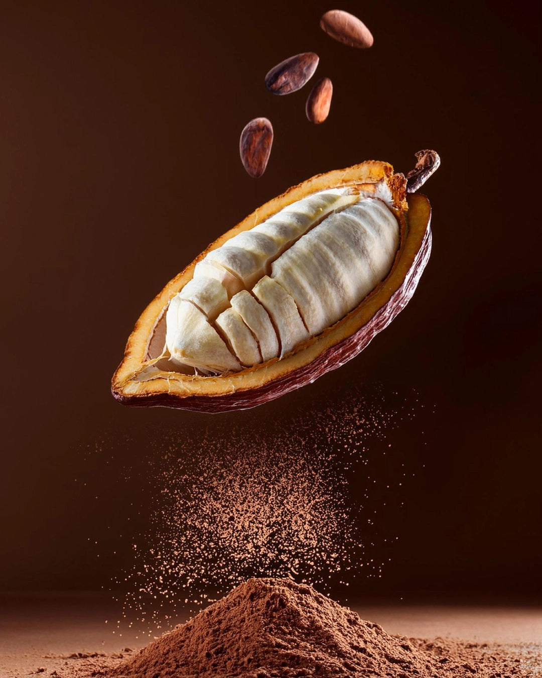 Chocolate knowledge concept showing cocoa beans chocolate bars and the bean to bar journey