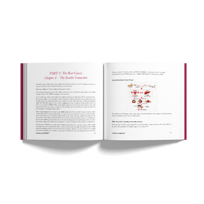 LittleCyster - PMOS (eBook)